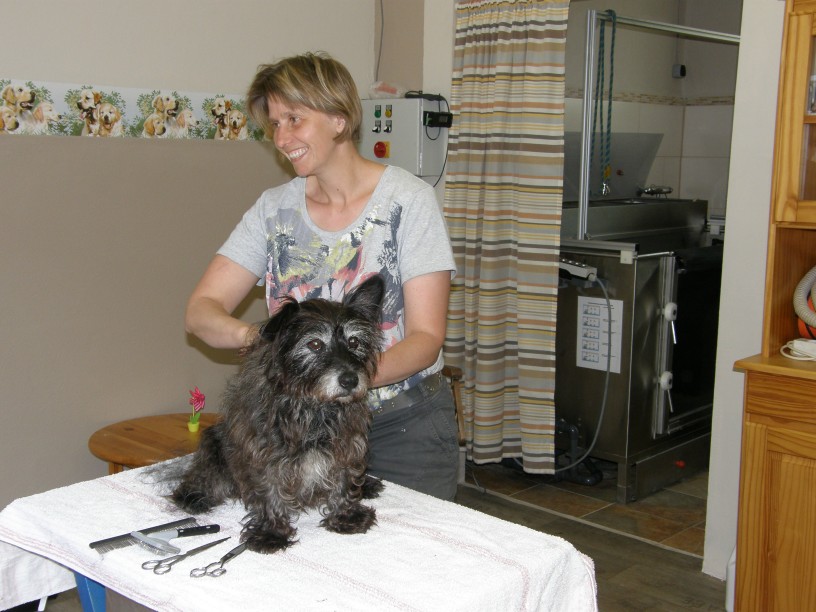 Hundesalon Tieroase