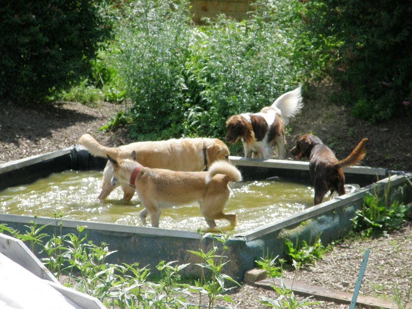 Sommer 2012, endlich ...